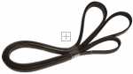 Hutchinson Poly v belt H - 1975h7 Poly-vee Belt