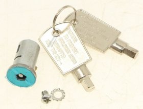 Door Lock - 4055499901 Door Lock [Electrolux Aeg]