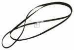 Poly v belt H - 1951h6 03850301 Belt [Candy Hoover]