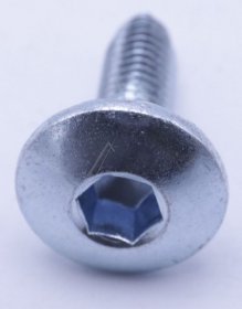 Haier Screw - 0060600429 49045778 Large Middle Hinge Screw