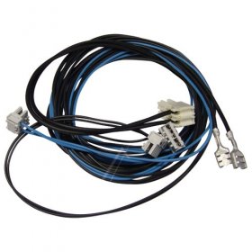 Harness - C00141769 482000029592 Wiring Module-electrovalve-dry M [Whirlpool Indesit]