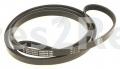Electrolux Professional Drive Belts - Drive Belt - 487041100